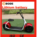 Nouveau Scooter électrique vélo électrique de 1000W avec batterie au Lithium